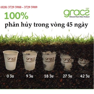 50 Chén đựng nước chấm bã mía Thái Lan 48ml (màu trắng) - thương hiệu Gracz