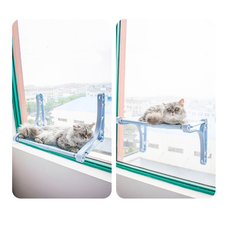 Giường gắn kính Hoopet