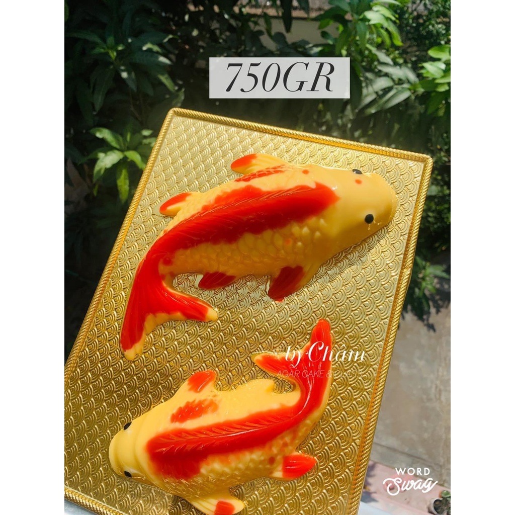 Khuôn Nhựa CÁ CHÉP Đủ Kích Thước