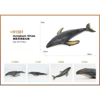 Đồ chơi cá voi lưng gù nhựa mềm cho bé , mô hình đồ chơi cá voi lưng gù - Humpback Whale nhựa sinh vật dưới biển