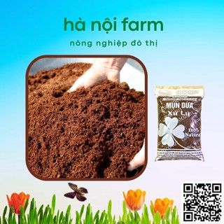 Mùn xơ dừa đã qua xử lý