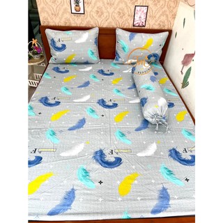 Bộ ga gối coton 4 món sang trọng mềm mát