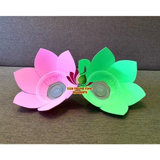 Hoa đăng 1 lớp 6 cánh (mẫu cánh mới)