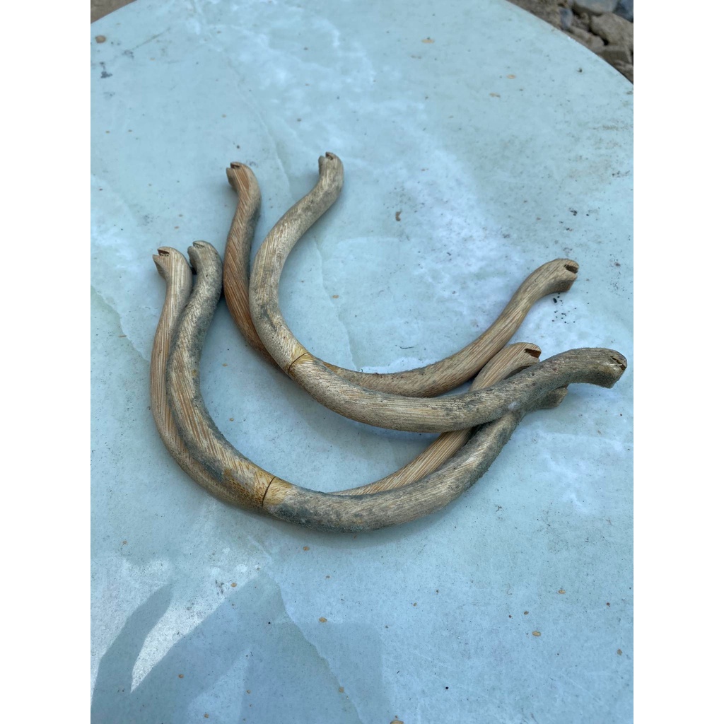 Nước tẩy mốc - Nước tẩy mốc lồng chim, đồ dùng tre gỗ lâu ngày bị ẩm mốc