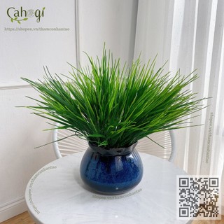 Cây Trang Trí - Cành Mạ Non 0143