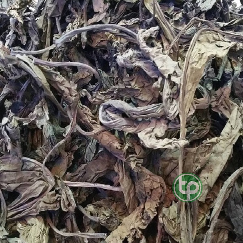 Lá Khôi Tía Sấy Khô , Trà Lá Khôi Tía