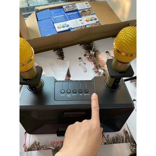 Loa karaoke Bluetooth SD-301 ( 2 mic không dây, khay để điện thoại)