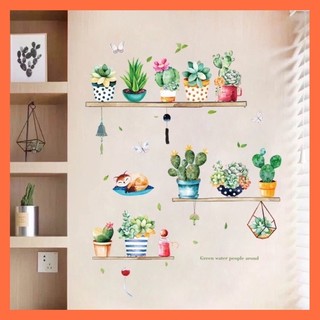 Decal dán tường các chậu cây sương rồng