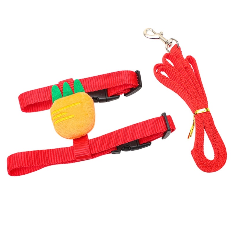 Dây Dắt Thỏ Đi Dạo Bằng Nylon Co Giãn Điều Chỉnh Được