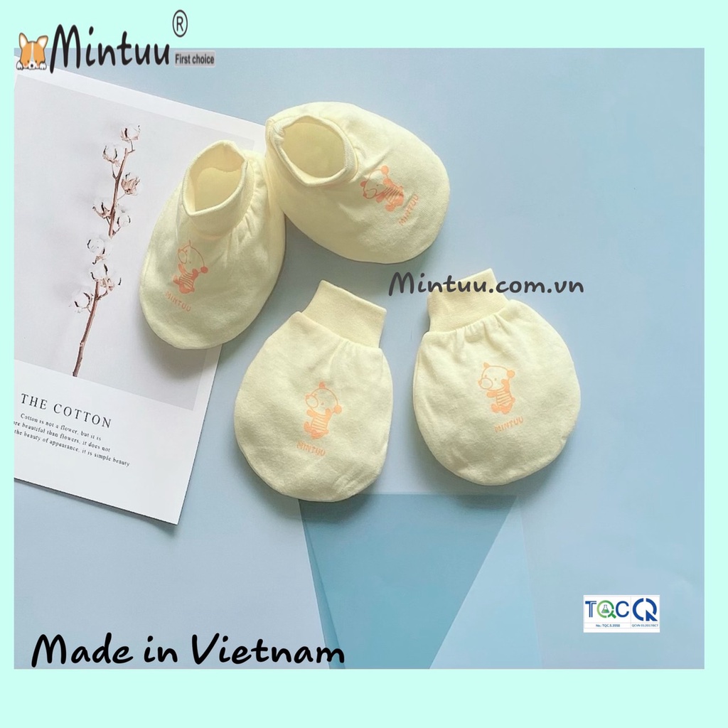 Bao tay bao chân sơ sinh, bao tay chân bo màu thương hiệu MINTUU, chất liệu vải 100% cotton