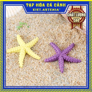 Trang trí bể cá - sao biển gai, tiểu cảnh bể cá, sen đá, terrarium, trang trí hồ cá, bể cá mini