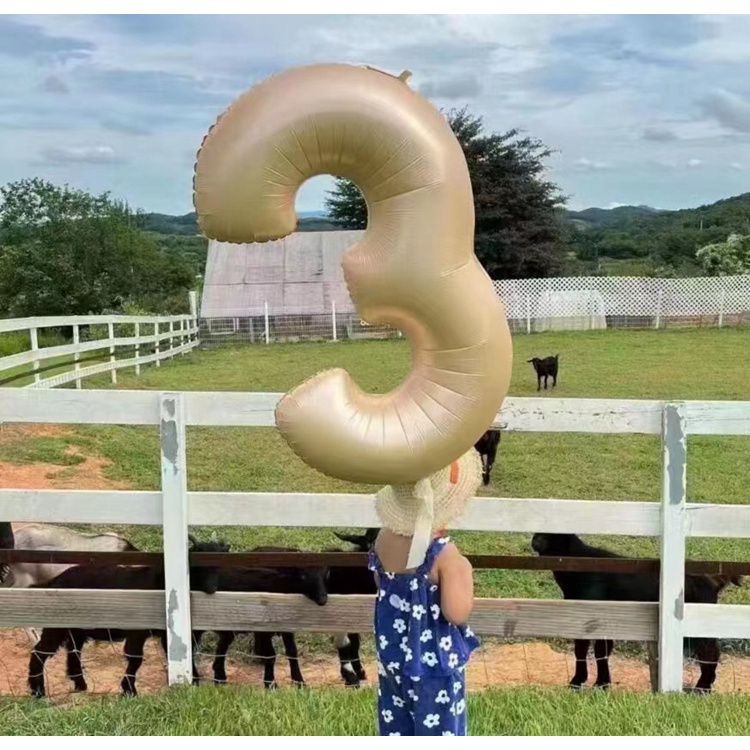 1 Bong Bóng Nhiều Màu Sắc Trang Trí Tiệc Sinh Nhật 30 40 50 40inch 1-9