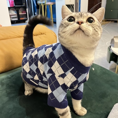 Áo len quả trám dành cho thú cưng