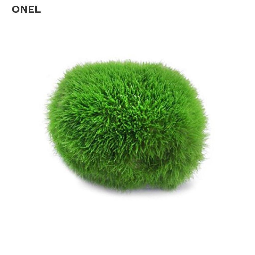 On Quả Cầu Marimo 2-3cm Cá Tôm Tảo Trang Trí my
