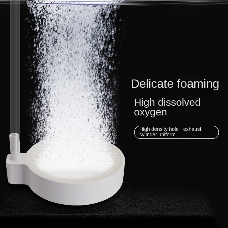 Đĩa Sủi Bọt Khí nano Khử Trùng Cho Bể Cá Hoàn Chỉnh oxygen