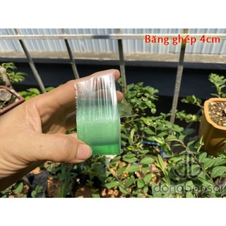 Băng ghép cây 4cm