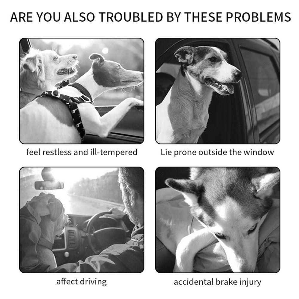 LLOYD Dây ThắT Lưng An ToàN Thu RúT Cho Thú Cưng