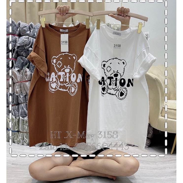 Áo phông gấu GATION DA6