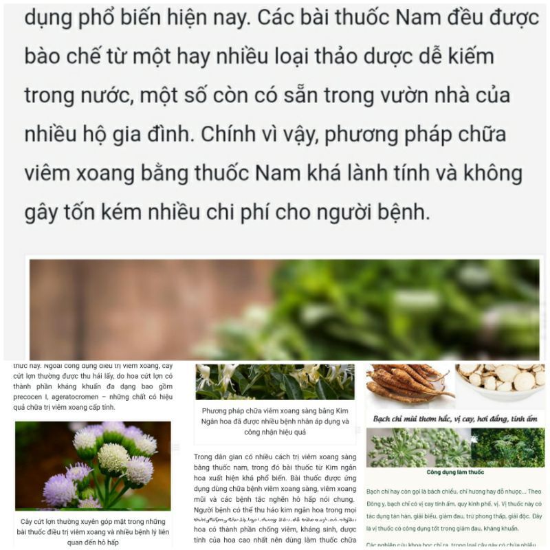 XOANG _ dùng dịch nhỏ mũi , viêm tai giữa trần kim huyền