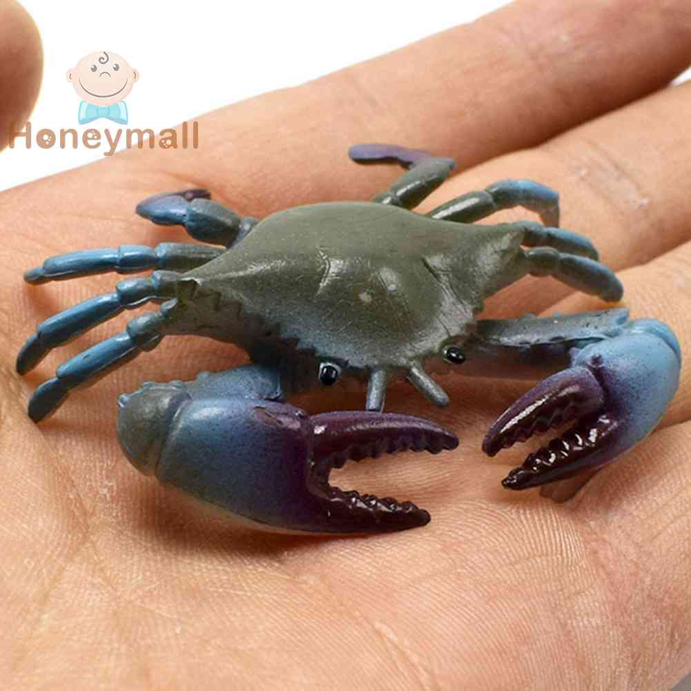 Set 8 Mô Hình Con Cua Bằng Nhựa Đồ Chơi Cho Bé