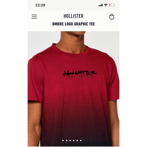 Áo Nam Holister Hàng VNXK dư xịn.