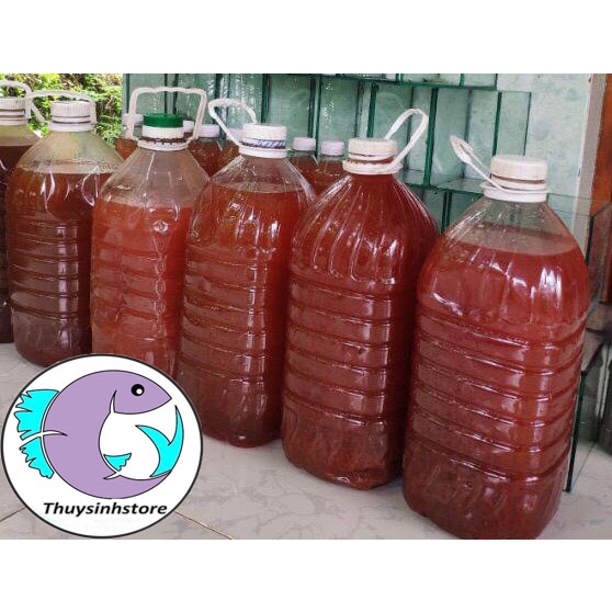 Vi sinh PSB 500ml , men vi sinh bể cá, bể koi, hồ kính giúp là trong nước