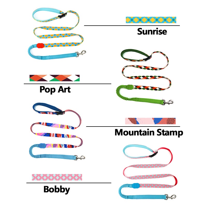 HamshMoc Dây Dắt Thú Cưng Đi Dạo Có Thể Điều Chỉnh Được Với Tay Cầm Và Khóa Cài Nặng Cho Chó Nhỏ Vừa Và Lớn 3