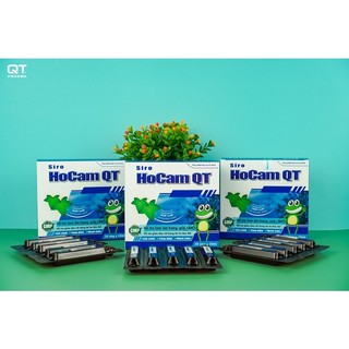 Siro Ho Cảm QT. Hỗ trợ giảm đau rát họng, ho kéo dài. SP có cao lá thường xuân nhập khẩu từ Pháp.