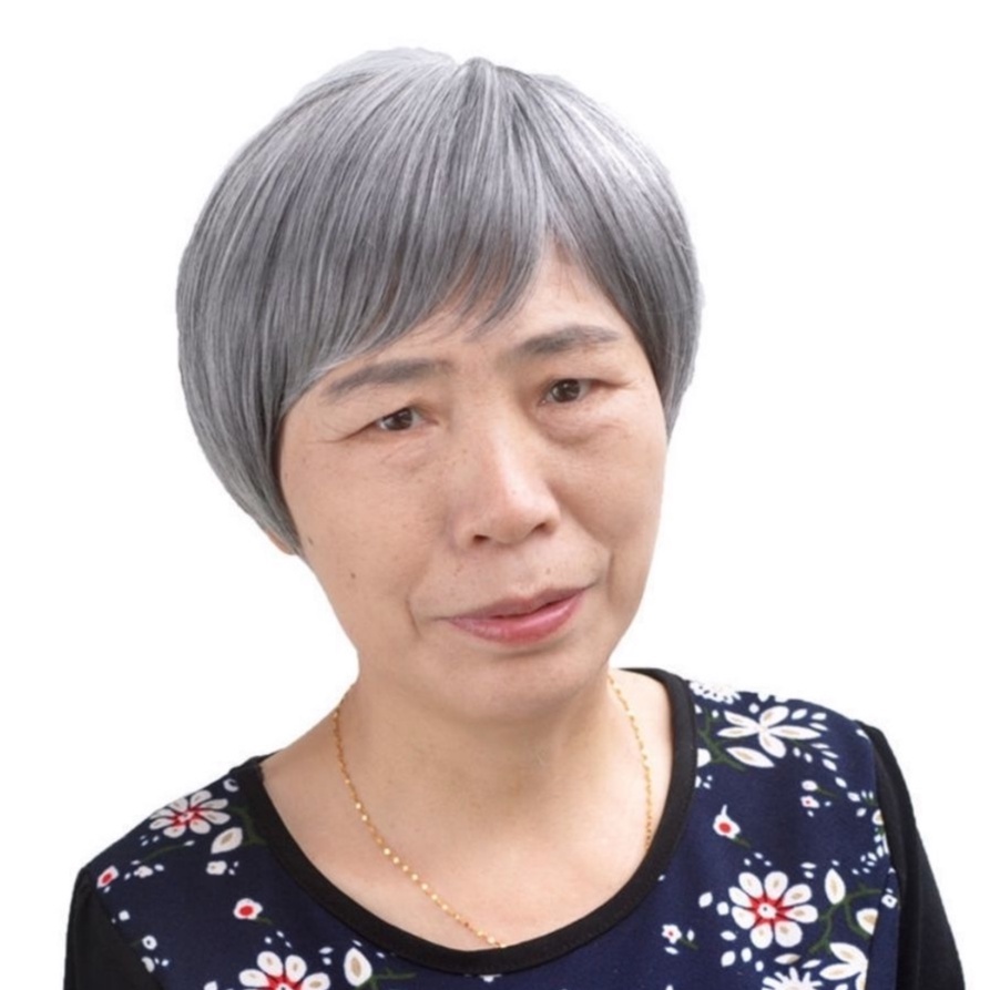 Tóc giả nữ nguyên cả đầu trung niên, Tóc cho người già - TG40