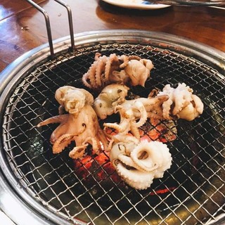 BẠCH TUỘC 2DA . Khay 1kg (giao hỏa tốc)