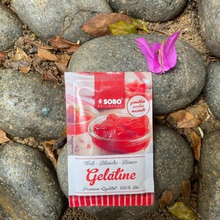 [ Date 09/24 ] Bột Gelatin Hữu Cơ Sobo 9g
