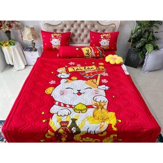 BỘ DRAP THUN Ý 5D CAO CẤP
