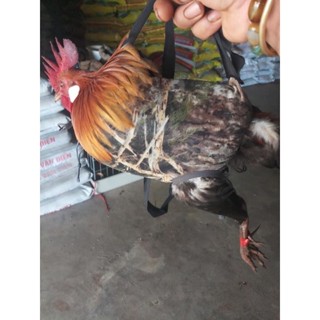 1 túi đựng gà rừng bổi