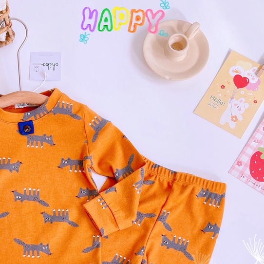 Bộ cotton bé trai dài tay phối khuy cho bé