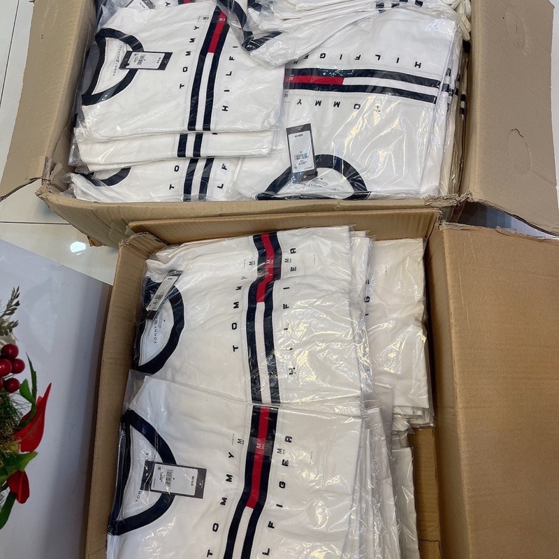 Áo tomy - áo hottrend