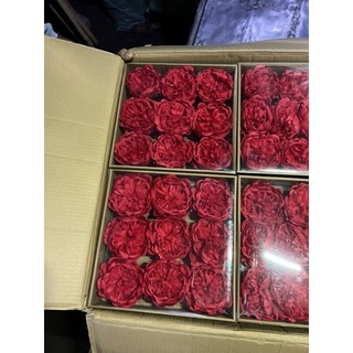hoa Hồng trà 9 bông