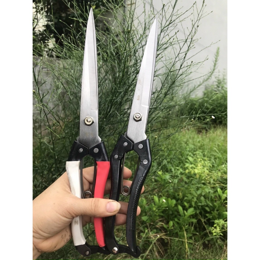 Kéo tỉa tán cây 30cm
