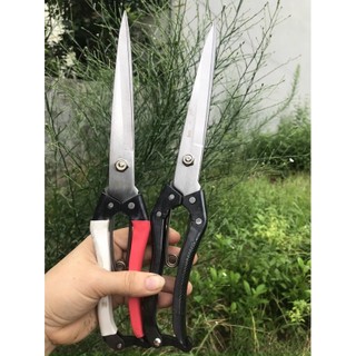 Kéo tỉa tán cây 30cm
