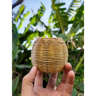 Tổ chim mini