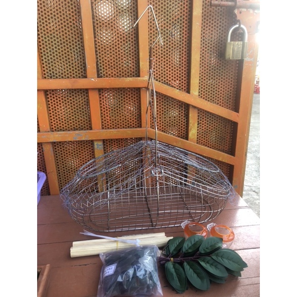 Lụp inox bẫy Choè than, Chào mào,…
