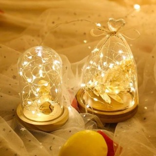 Đèn fairylight, fairy light đèn led đom đóm màu vàng 1m