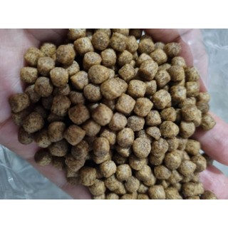 Cám cá chép CARGILL combo 5kg