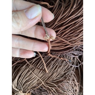  dây dù malai 1,5li đến 3li 