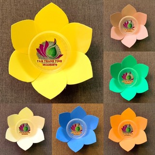 Hoa đăng 1 lớp 6 cánh