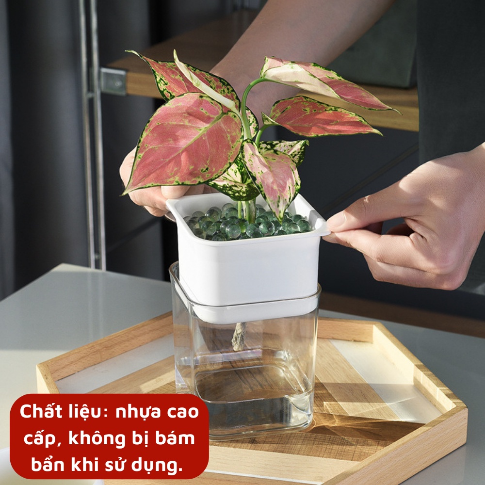 Chậu cây mini để bàn thông minh chậu nhựa thủy canh tự hút tưới nước cho cây decor văn phòng bàn làm việc