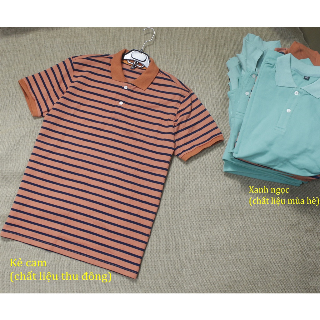 Áo polo cổ bẻ mặc thu đông