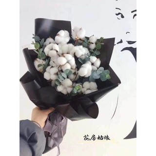 Set Cành quả Bông Gòn thật sấy khô