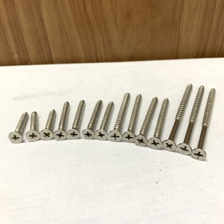 100 gam vít inox 304 phi 4-5-6mm các độ dài bắt nở, gỗ, nhôm kính