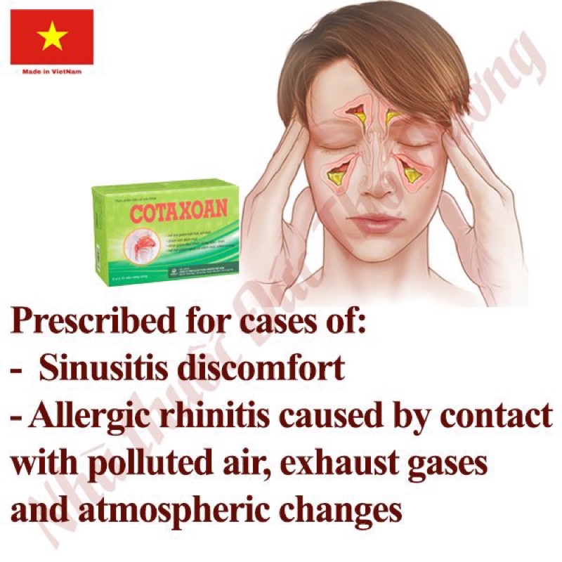 Cotaxoan - hắt hơi sổ mũi, đau nhức vùng đầu trán xoang - Hộp 50 viên