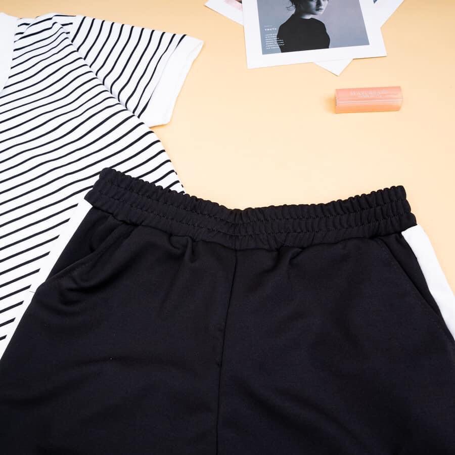 [3 SIZE 45-65KG TÙY CHIỀU CAO] ĐỒ BỘ THUN DÀI CỔ TRỤ MẪU MỚI SIÊU HOT THỜI TRANG CHẤT THUN MỀM MỊN CO GIÃN 4 CHIỀU